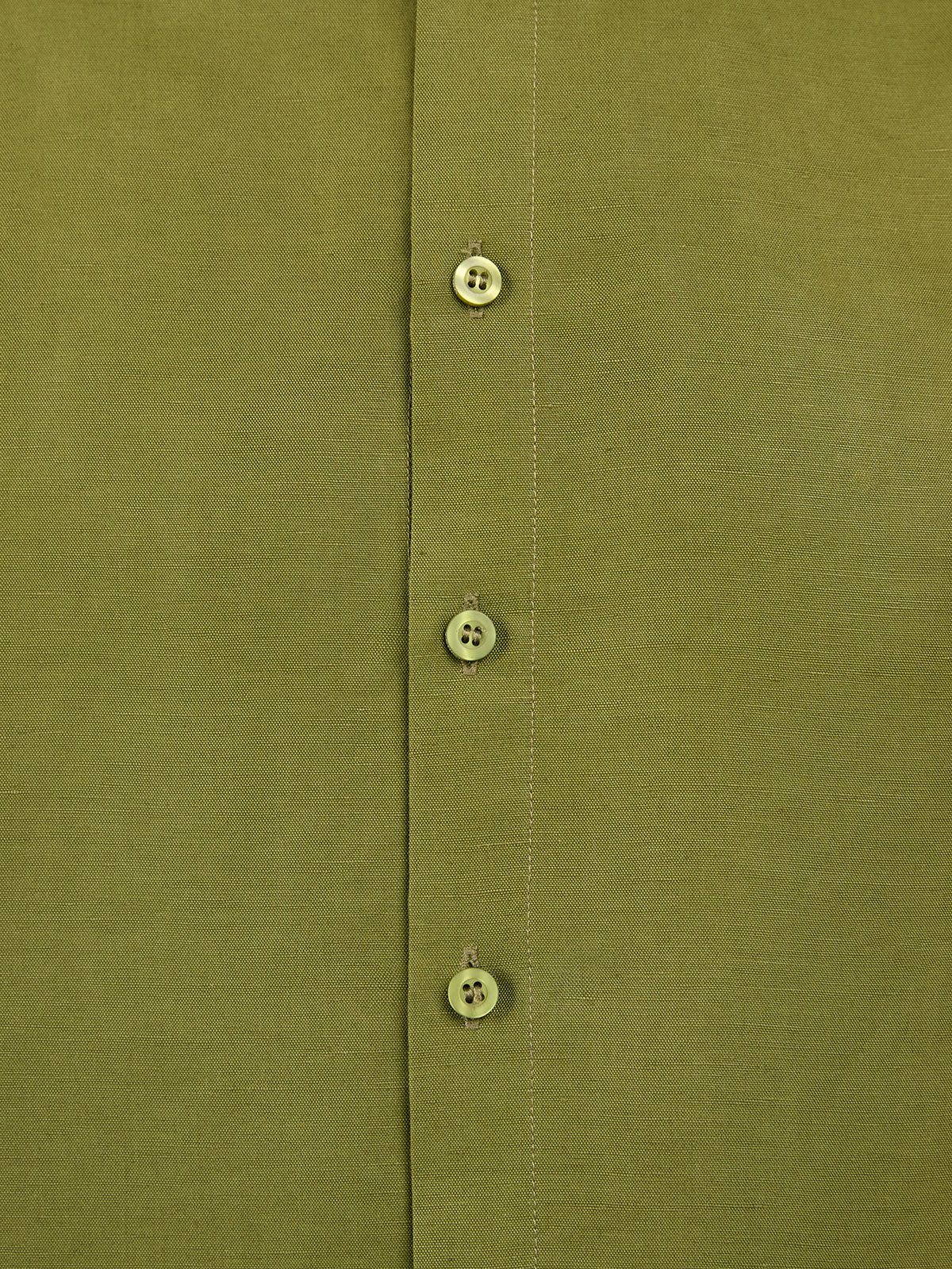 Military Olive