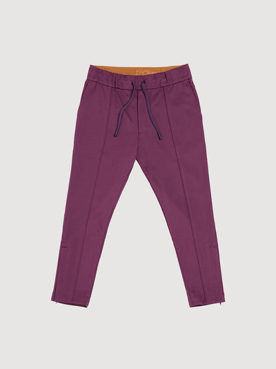 Italian Plum