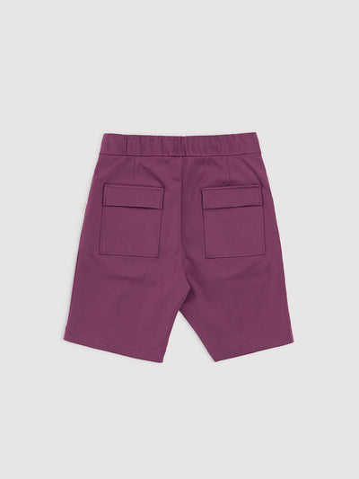 Italian Plum