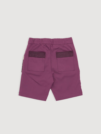 Italian Plum