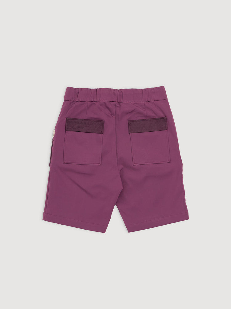 Italian Plum